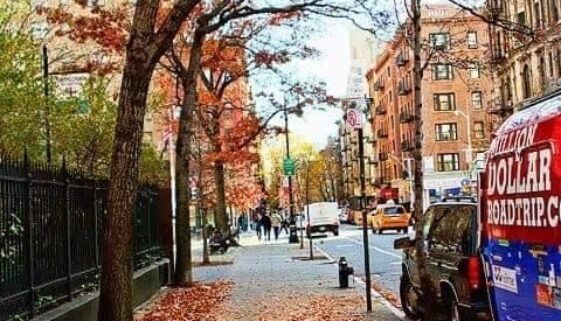 NYC fall