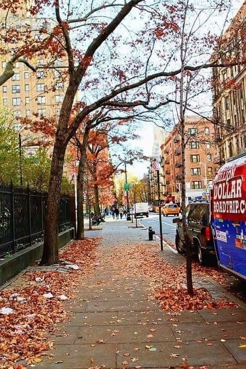 NYC fall